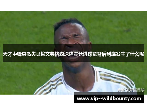 天才中锋突然失灵埃文弗格森深陷漫长进球荒背后到底发生了什么呢