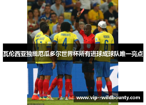 瓦伦西亚独揽厄瓜多尔世界杯所有进球成球队唯一亮点