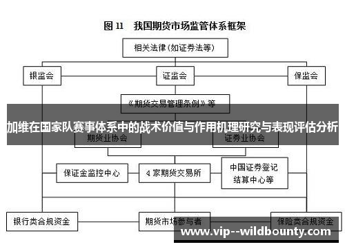 加维在国家队赛事体系中的战术价值与作用机理研究与表现评估分析