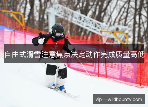 自由式滑雪注意焦点决定动作完成质量高低 自由式滑雪注意焦点决定动作完成质量高低